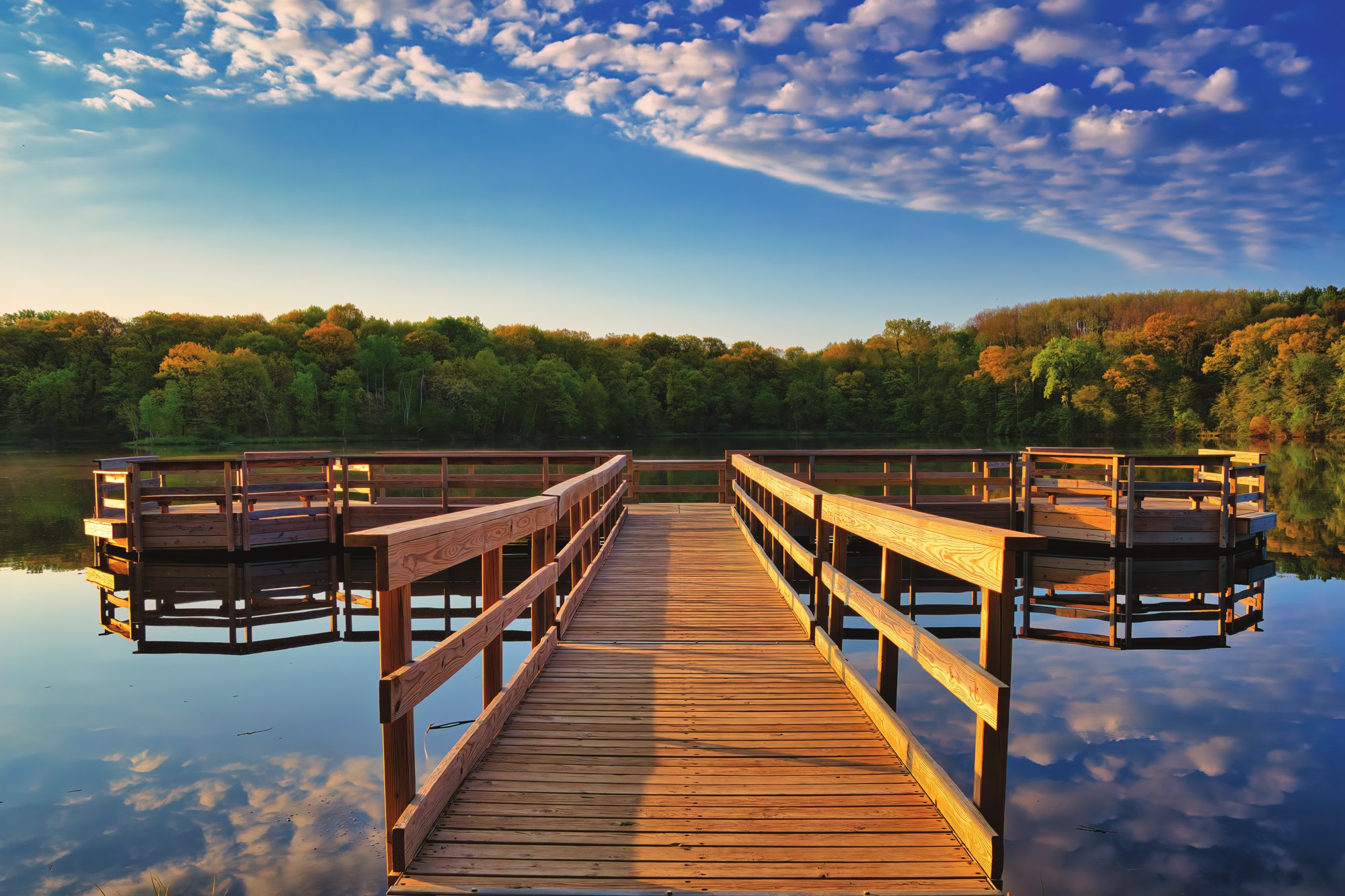 A wooden boardwalk reaching across still lake water at sunrise, woodland on the far bank